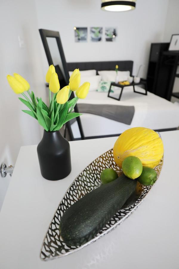 Luxury 1107 Apartment Zadar
